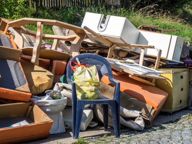 Best Basement Cleanout  in Medford, MN