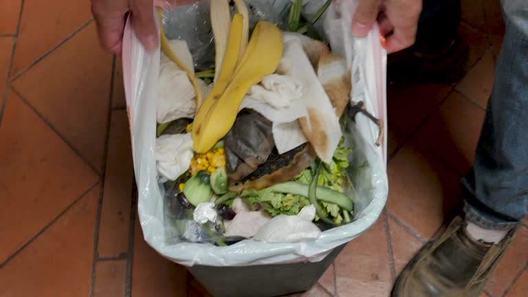 Best Garage Cleanout  in Medford, MN